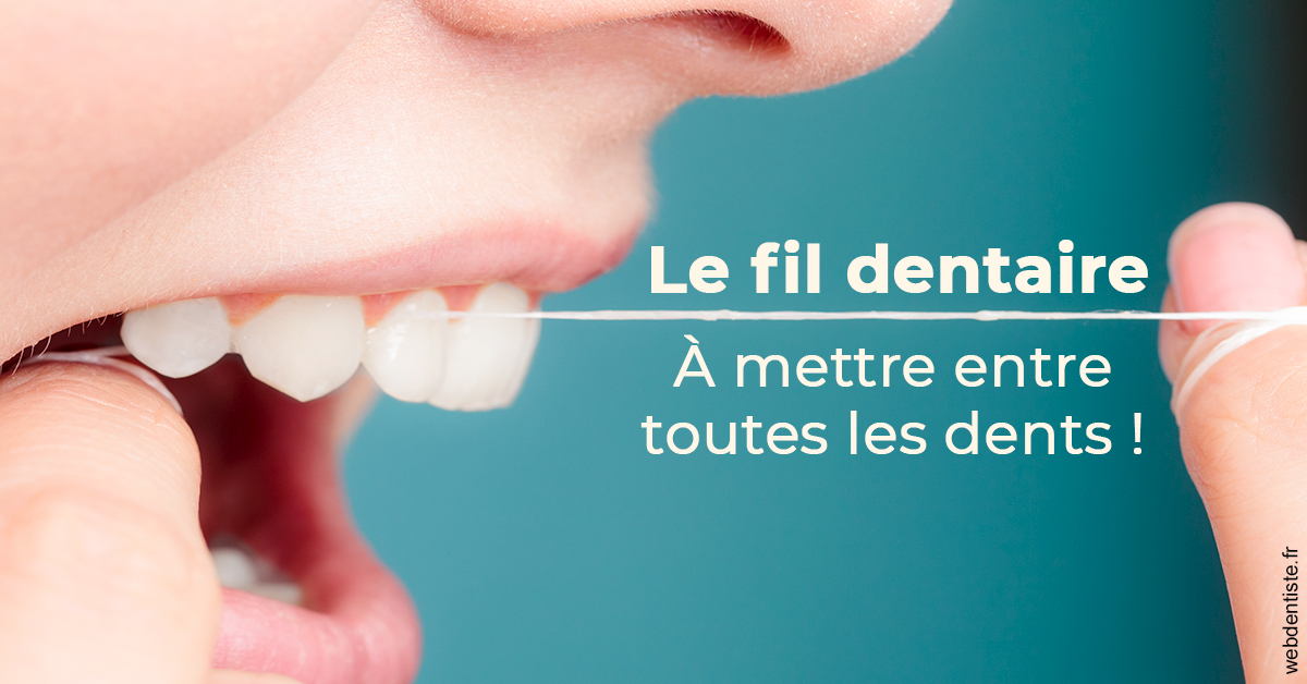 https://selarl-etienne-et-associes.chirurgiens-dentistes.fr/Le fil dentaire 2