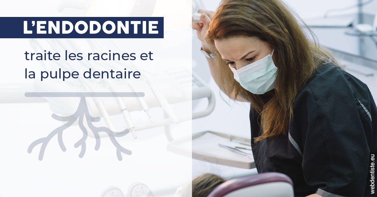 https://selarl-etienne-et-associes.chirurgiens-dentistes.fr/L'endodontie 1