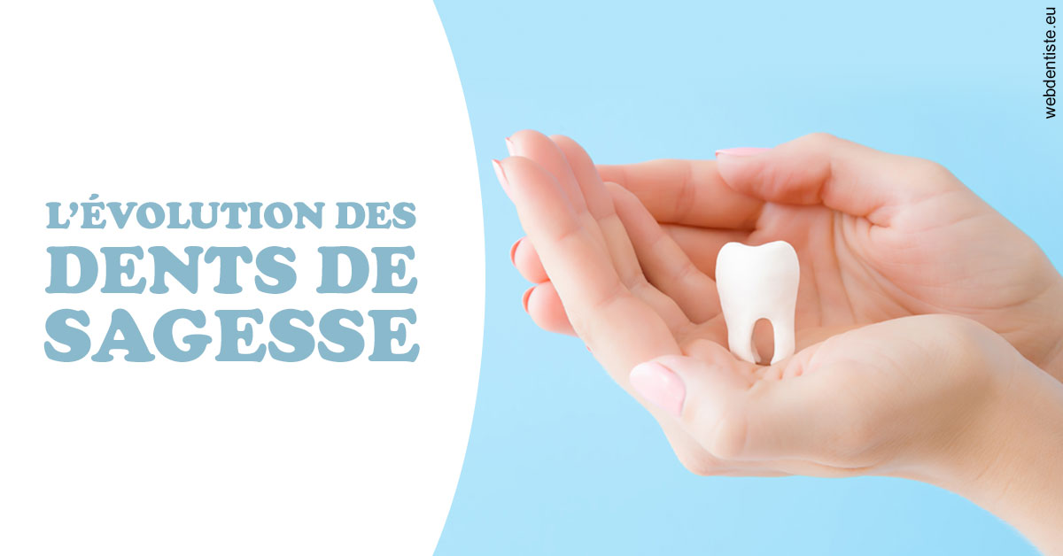https://selarl-etienne-et-associes.chirurgiens-dentistes.fr/Evolution dents de sagesse 1