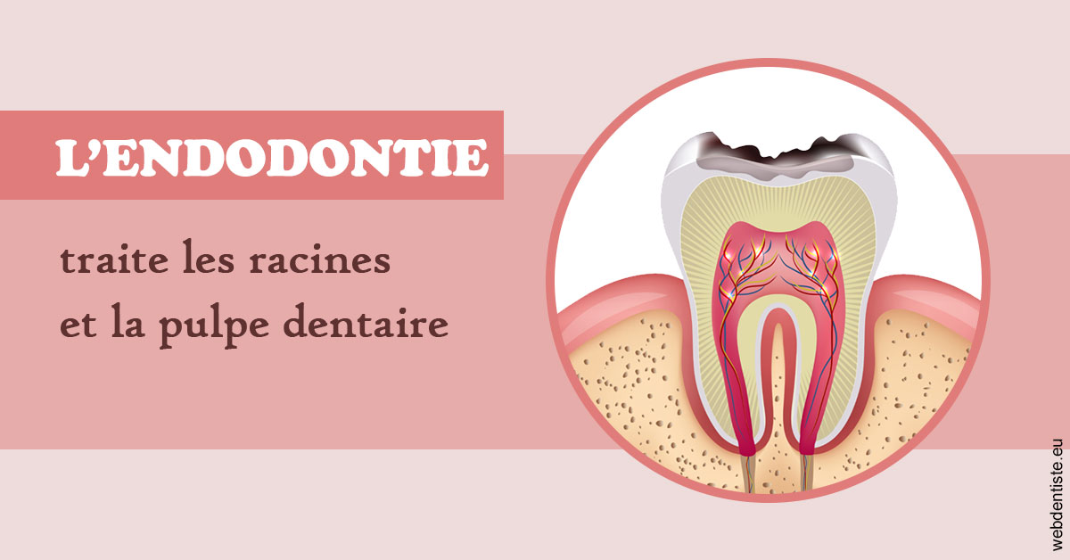 https://selarl-etienne-et-associes.chirurgiens-dentistes.fr/L'endodontie 2