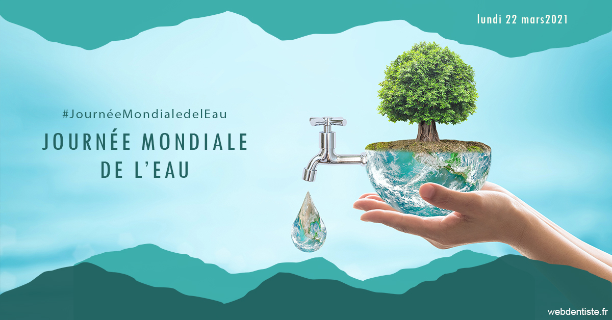 https://selarl-etienne-et-associes.chirurgiens-dentistes.fr/Journée de l'eau 1